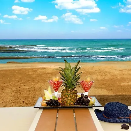 Hotel Elexus Hotel & Luxury Resort & Spa & Casino